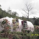 담양 반딧불 이미지