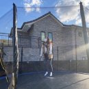 준요네집 이미지