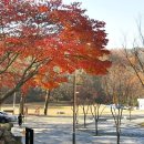 명상요가 이미지