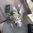 멜팅플레르