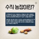 그린파이브 이미지