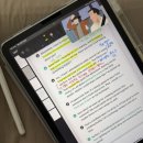 회화학원 대신 스피쿠스 전화영어 한 이유, 원어민 수업 후기