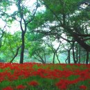 부춘산악회 9월12일 정기산행 선 운 산(禪雲山, 336m, 전북 고창군) 이미지