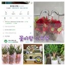 꽃이랑나무랑 이미지