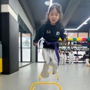 이화 태권도장 이미지