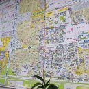 자양4동거리_2 이미지