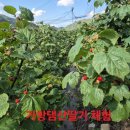 헐티로11길 네이버블로그