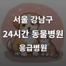 24시 스마트동물병원(신사본원) | [서울 강남구 24시간 동물병원(신사동, 삼성동, 역삼동, 청담동)] 반려동물 응급상황 대처 가능한 진료소