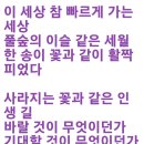 97세 할머니가 쓴 시 이미지