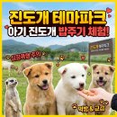 무안스포츠파크 | [전남 진도 여행] 진도개 테마파크 아기 강아지 먹이...빔프로젝터 완벽 세팅 후기 (feat. 엘에스미디어)