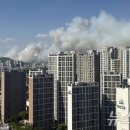 대구팔달초등학교 이미지