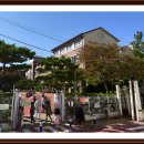 세화부동산공인중개사사무소 이미지