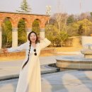 봄날애 이미지