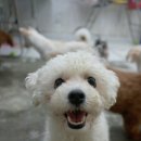 말랑 이미지
