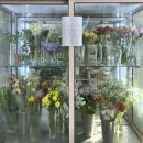 주드리꽃방 | 해운대 중동역 근처 꽃집 - 주드리꽃방(Judri flower)