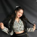 해링턴헤어