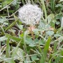 시편카페 이미지