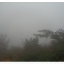 미륵산전망대 이미지