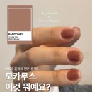 네일바이무드