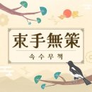 속수무책 뜻 속수무책의 유래 이미지