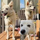 선산대로-18 이미지