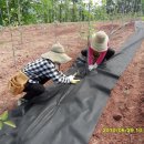 이팝농장 이미지