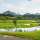 고원목장(2) 이미지