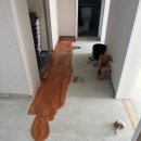 퓨어스테이 이미지