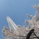 꼭 알고 가볼만한 한국사 이야기와 여행지 | 국내 여행지 베스트10 3월 4월 커플여행 봄 가볼만한곳 추천