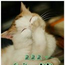 소소한 행복