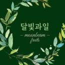 청송과일 네이버블로그