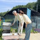 정순조농장 서울신문