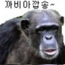 뽕가라오케 이미지