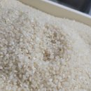 김봉규 | [좋은쌀찾기 여정1] 김봉규의 연천쌀 / 여리향쌀 후기 / 깨끗한쌀(추천과 비추천 사이)