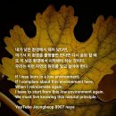 내가환경