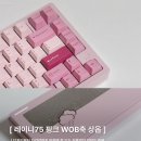 레이니75 핑크 WOB축 상옵 리뷰 | 커스텀키보드 내돈내산 후기