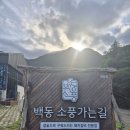 왕의갈비 | [경남 양산] "백동소풍가는길" 숙성왕 돼지갈비 후기 ㅣ 여름에도 크리스마스를 느끼고 싶으면 "백동...