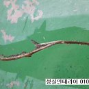 성실인테리어 이미지