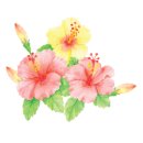 모니카웍스 이미지