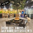 아이랑 양산 가볼만한 곳 실내 동물원 양산 와우쥬 STS과학실험 카페 후기