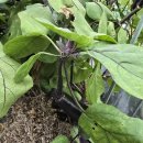 11월 28일(금) 전라지부 출석부 / 행복한 하루되세요! 이미지