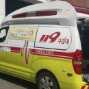 바퀴벌레119