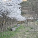 오글오글오토캠핑장 네이버블로그