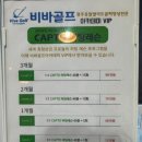 비바스크린골프장