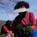 명이농장 이미지