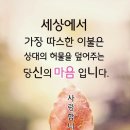 건강식단으로 필수 아미노산과 바이오액티브 성분도 풍부해 식품으로 섭취하세요. 이미지