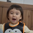 파장닭집 | :::동해가볼만한곳:::묵호항+번개시장