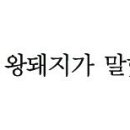 커피마마스