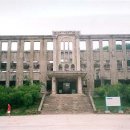 노동 Daum카페