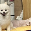 콩이네민박 이미지